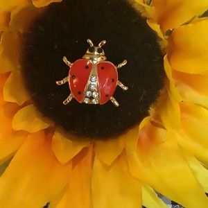 Beetle Bug 🐞 Pin.